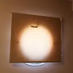 Apanema *