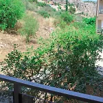 Apanema