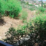 Apanema Apartmán Vivári