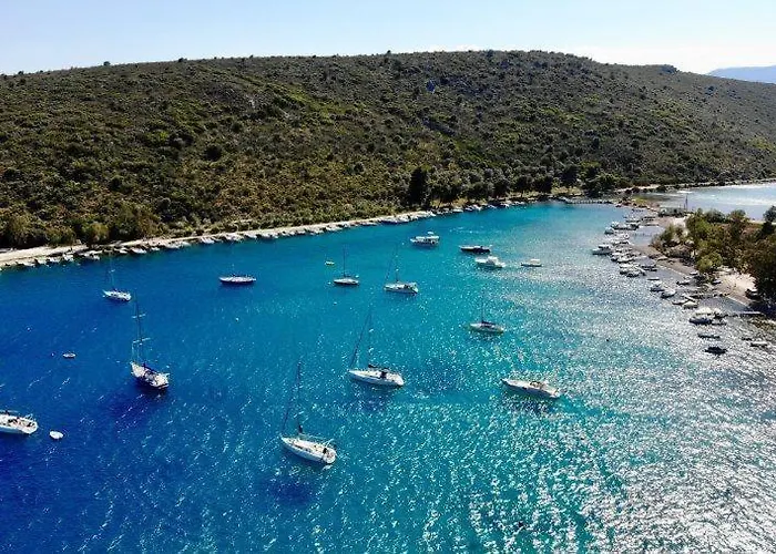 Апартаменты Apanema *